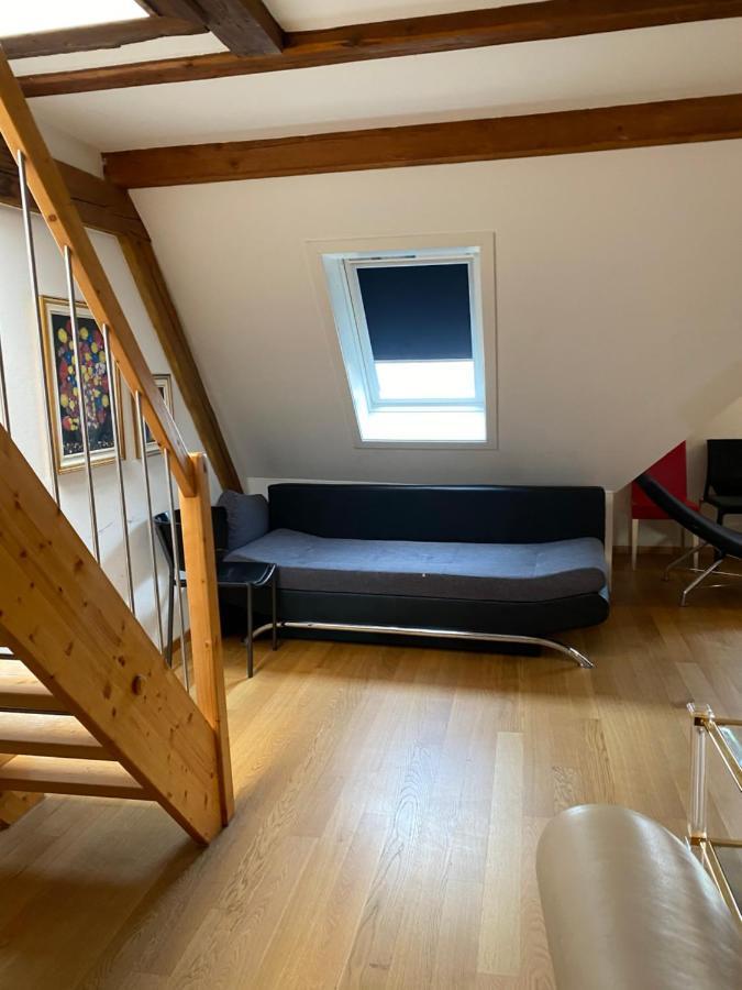 Zuerizimmer ซูริก ภายนอก รูปภาพ